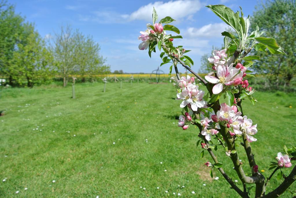 Frith Farm House Cottages Newnham  Værelse billede